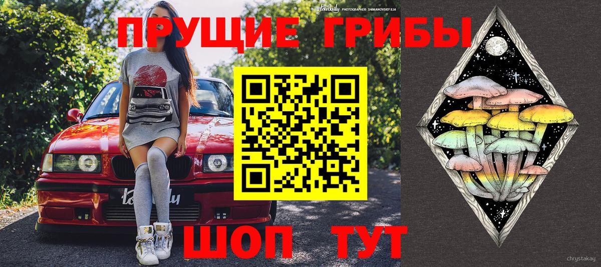Псилоцибиновые грибы прущие грибы  наркошоп  Изобильный  Вход с VPN 